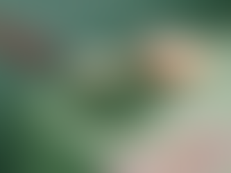 Grow Your Blog Community